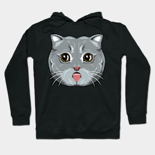 Cute Cat Hoodie